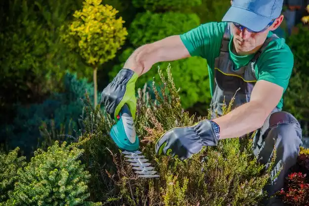 landscaping services Dawson Springs